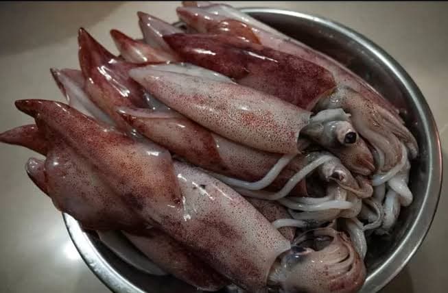 Sotong