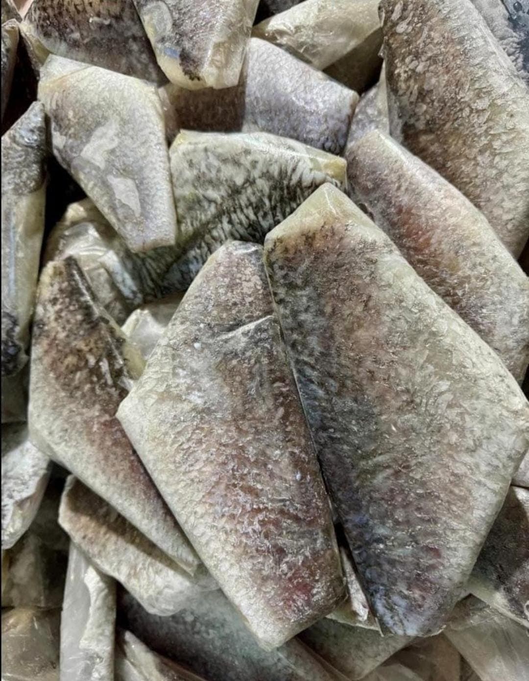 Kakap putih fillet